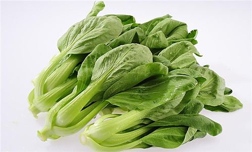 番禺区农产品配送价格与嘉宝配送时效解析 冷冻蔬菜与新鲜蔬菜采购指南