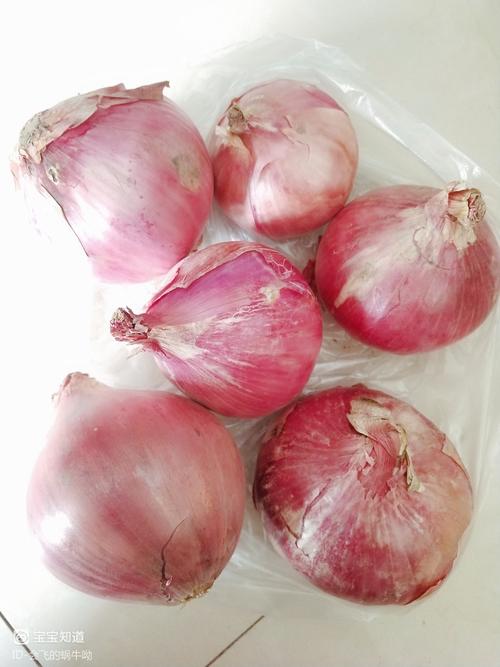 雨天的菜篮子 账单728元背后的蔬菜价格波动