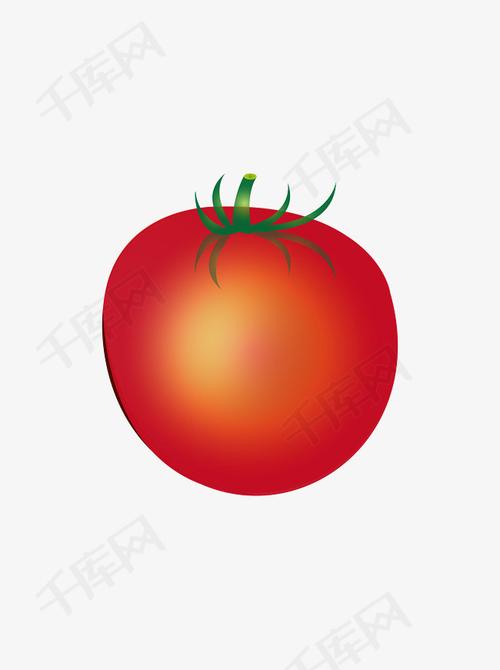 蔬菜皇后 西红柿矢量图的魅力与应用